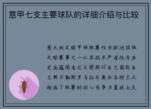 意甲七支主要球队的详细介绍与比较